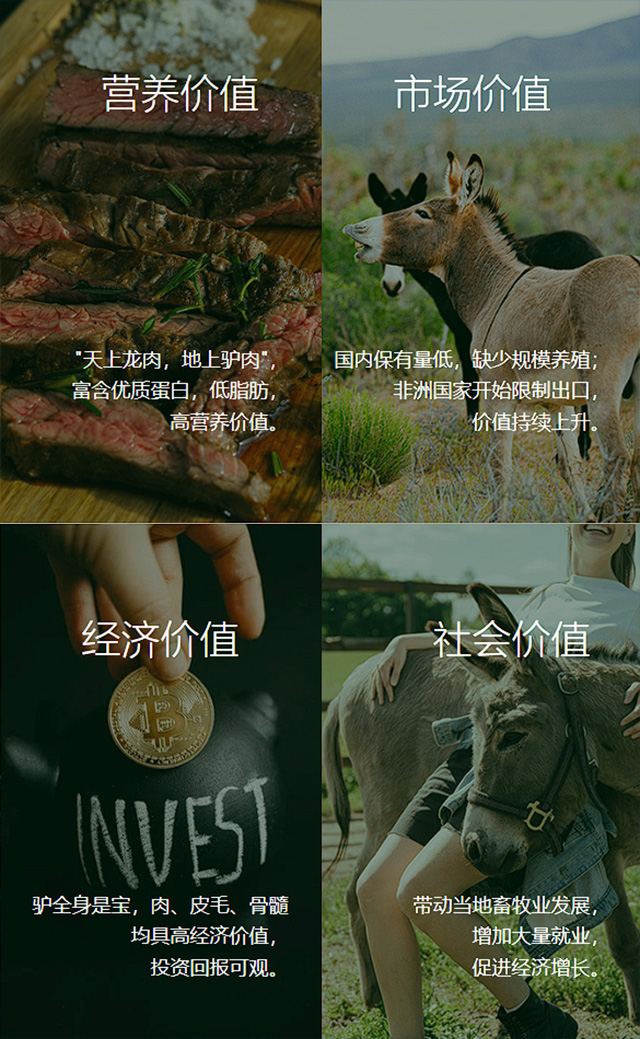 认养毛驴